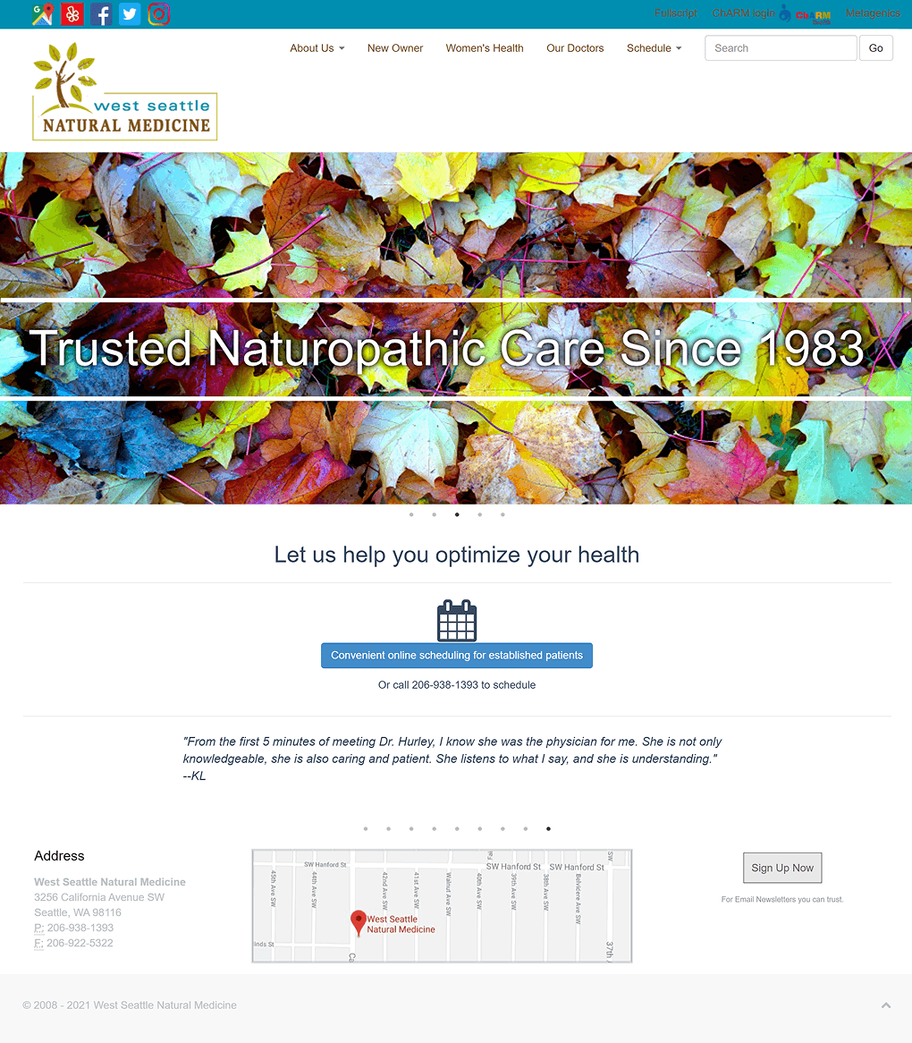 Website preview