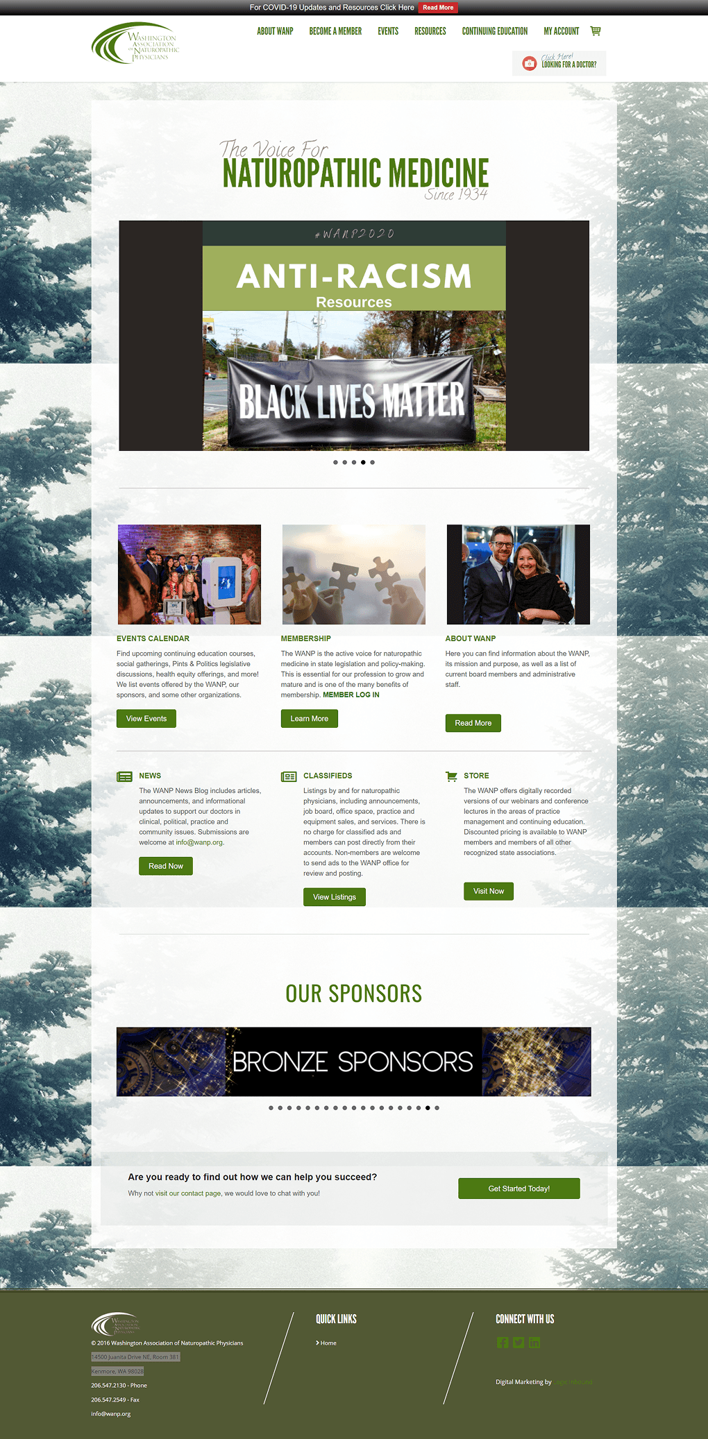 Website preview